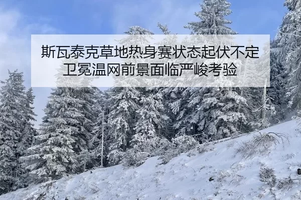 si-wa-tai-ke-cao-di-re-shen-sai-zhuang-tai-qi-fu-bu-ding-wei-mian-wen-wang-qian-jing-mian-lin-yan-jun-kao-yan-2-196.jpg